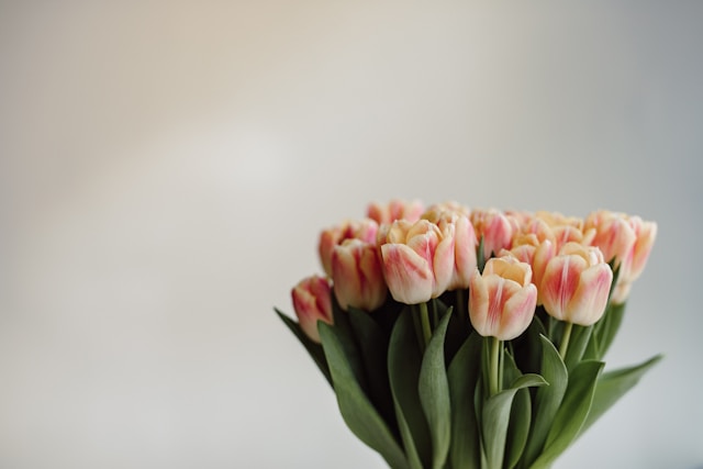 patrick-langwallner-sFtqXx2TenQ-unsplash