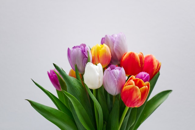 timo-c-dinger-43m51FRyG88-unsplash
